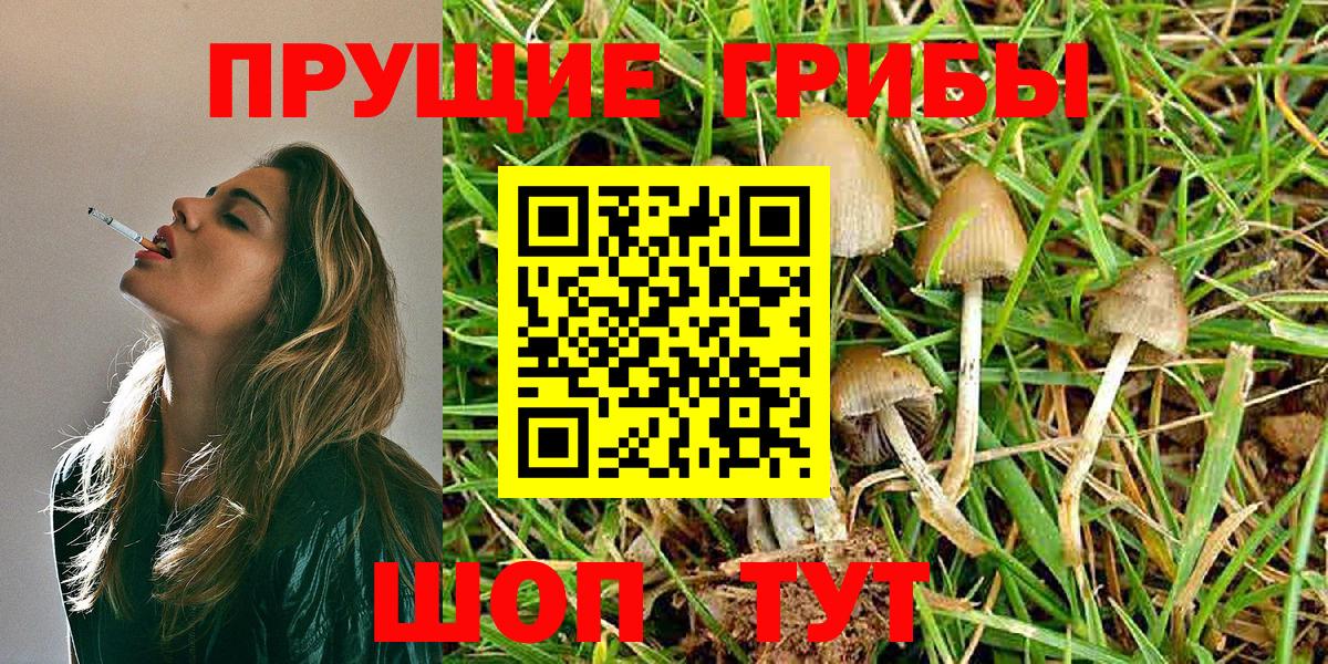 Псилоцибиновые грибы Psilocybine cubensis Нерюнгри